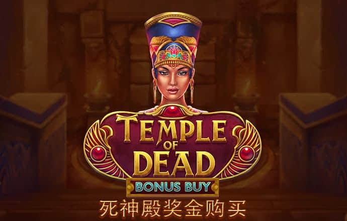 五五世纪官网下载